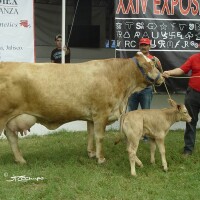 ABA Srita Buenavista 728/01